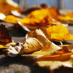 服务器攻击方式