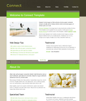 服务器攻击方式